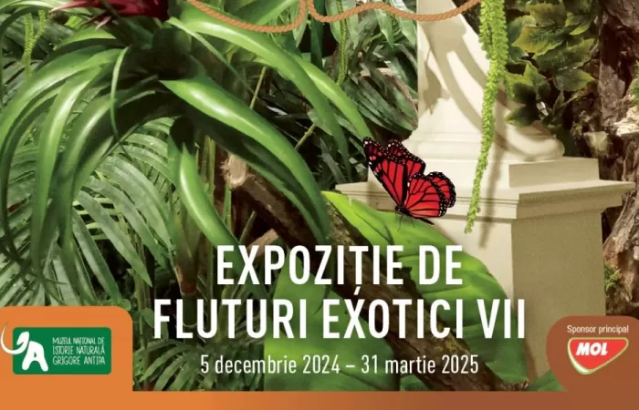 12-Jungla-pune-stapanire-pe-muzeu.-Expozitie-de-fluturi-exotici-vii-