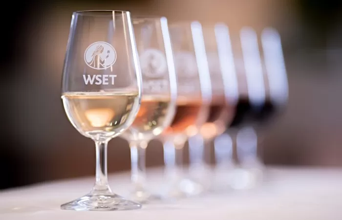 4-Curs-WSET-Nivel-1-in-Vinuri-