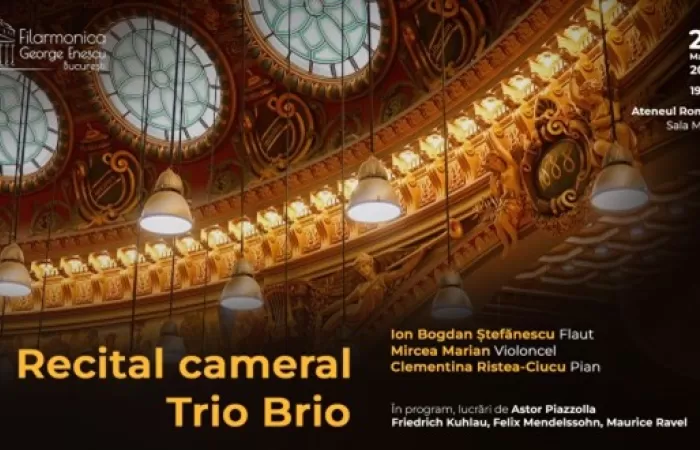 12-Concert-cameral-|-Trio-Brio-