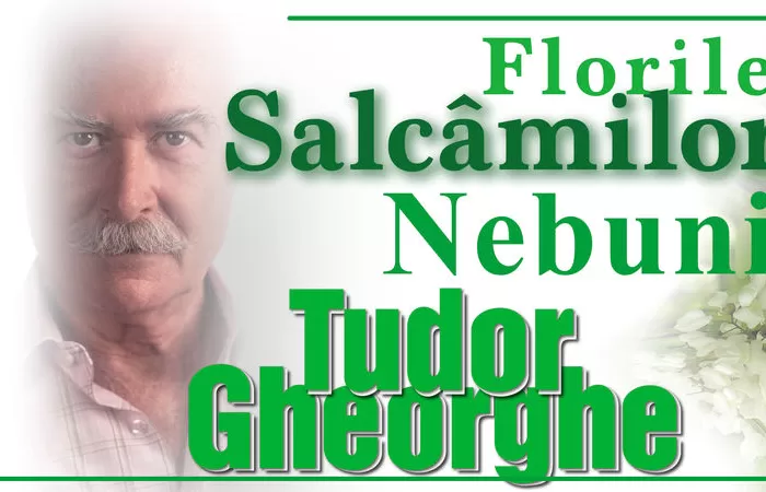 12-Tudor-Gheorghe-