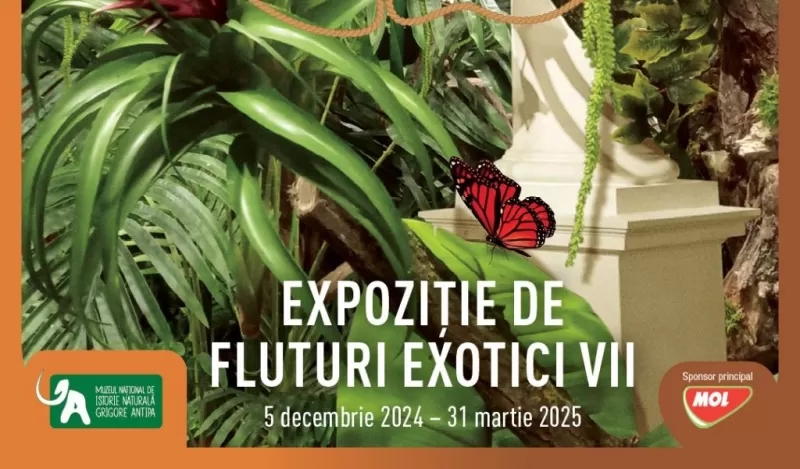 Jungla pune stăpânire pe muzeu. Expoziție de fluturi exotici vii -1